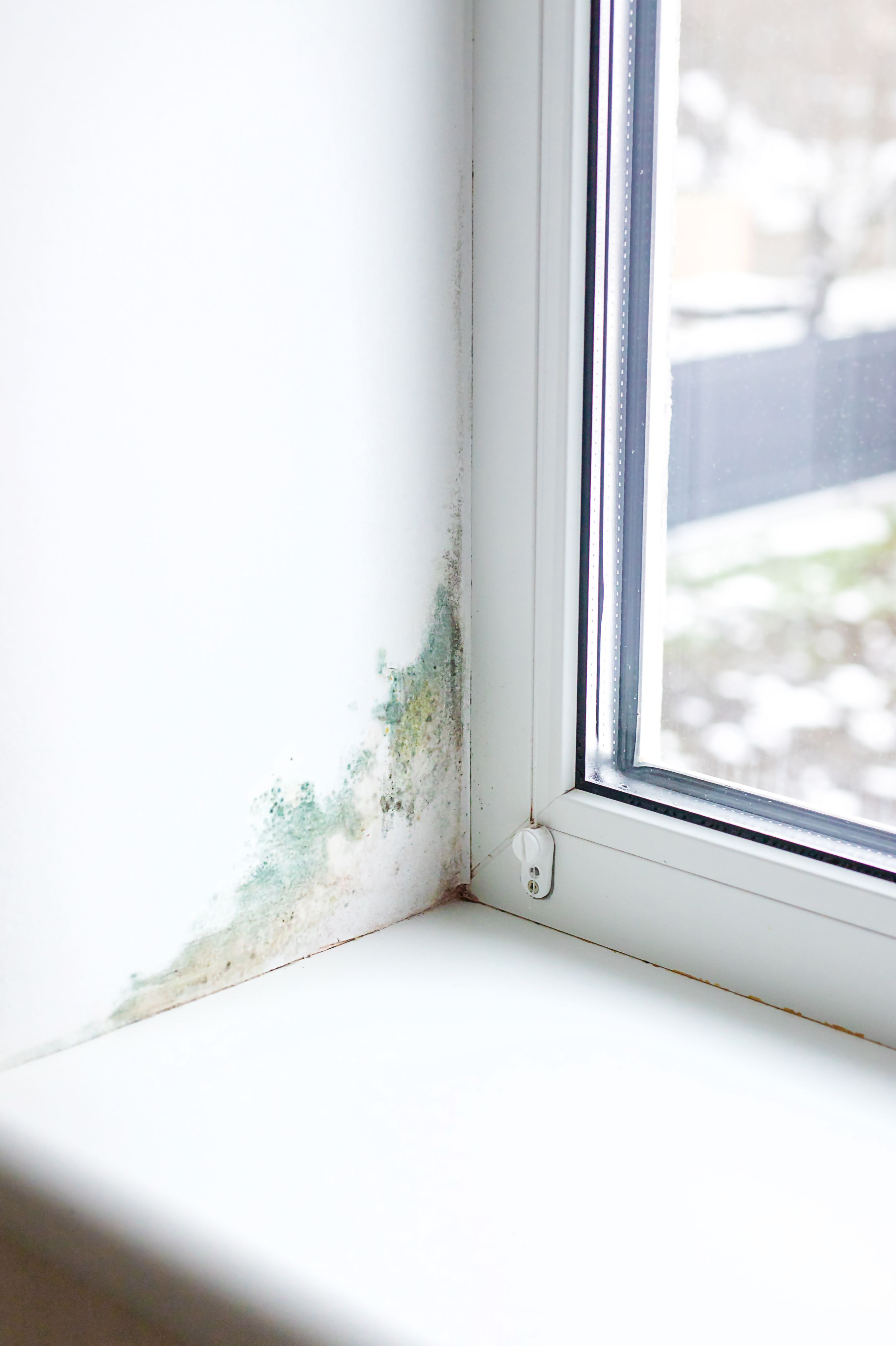 Eine befallene Wand vor der Schimmelpilzsanierung in Nürnberg